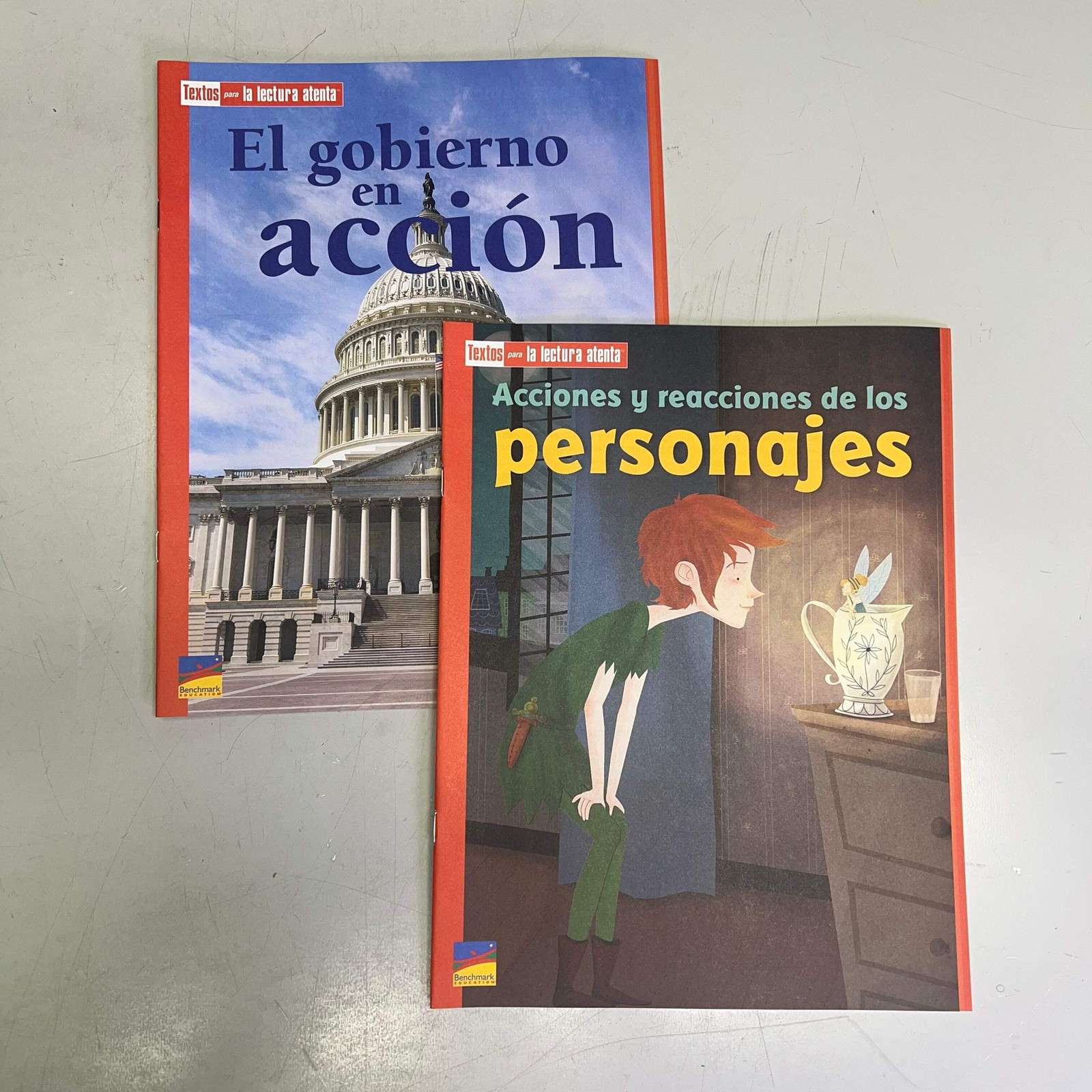 BENCHMARK EDUCATION (10 SET) Multiple Learning Point Books Grade 4 Spanish Editi