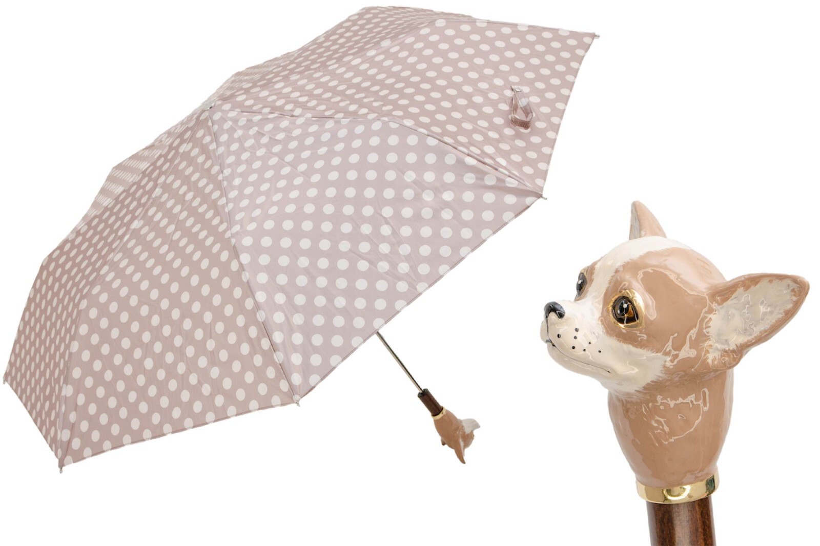 Pasotti  Folding Chihuahua with Gift Box included New