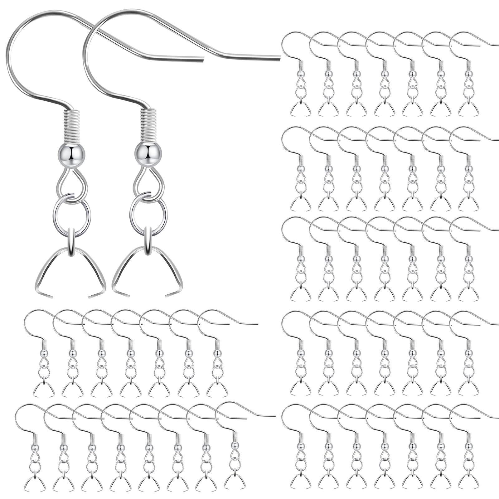 Earring Hooks 50PCS/25Pairs, Stainless Steel Ear Wires Fish Hooks, Hypoallerg...