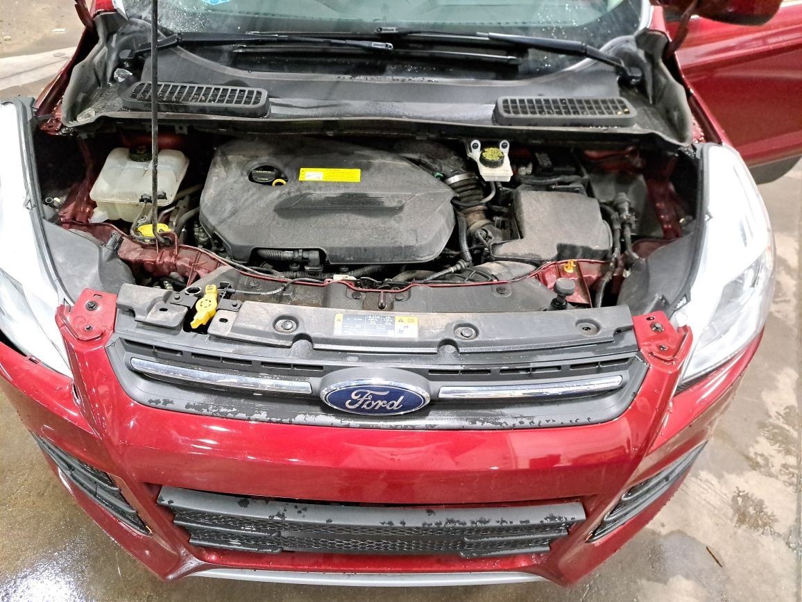 2014-2019 Ford Escape Right Passenger Curtain/Roof Air Bag Oem