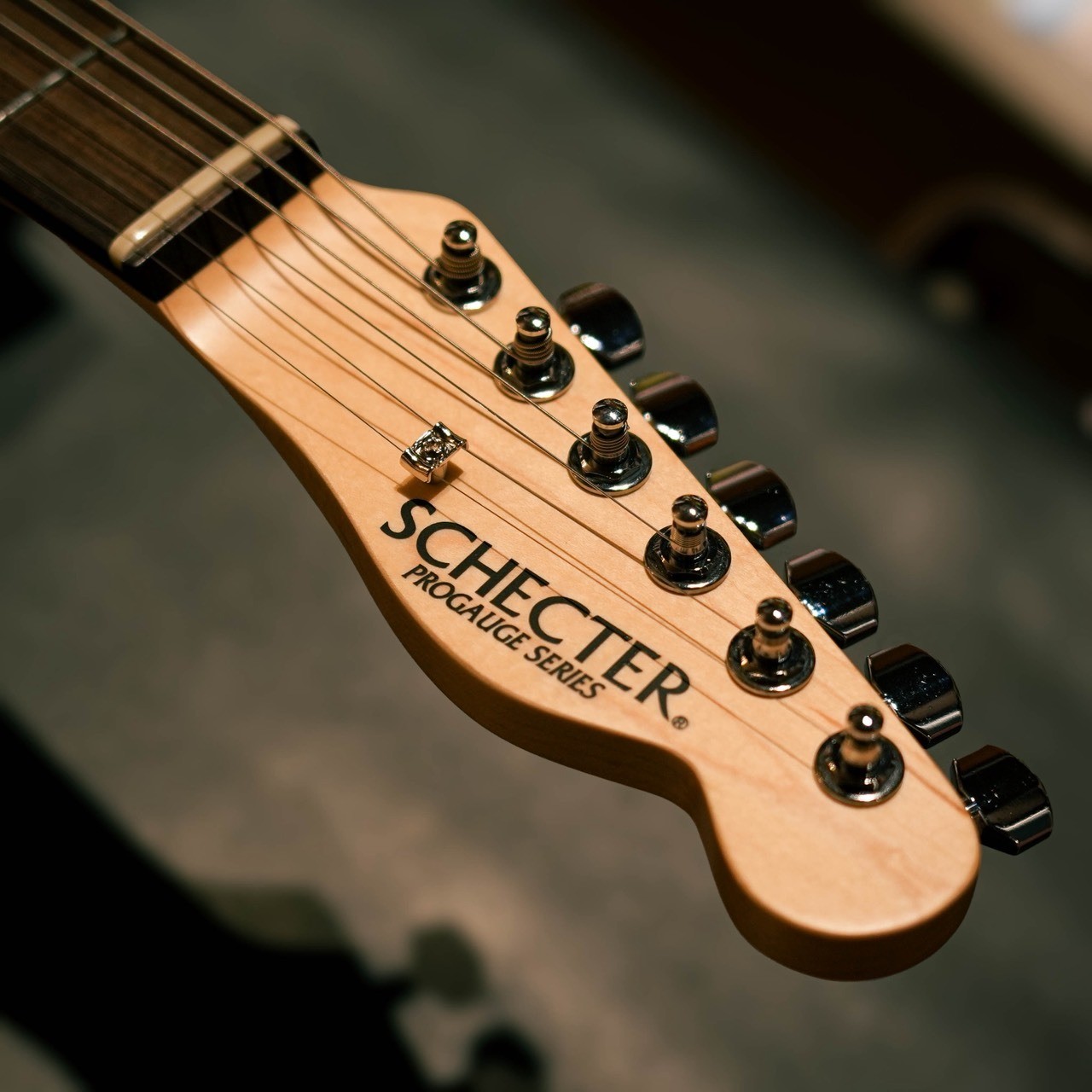 SCHECTER PALS/TK STWH #GGeox