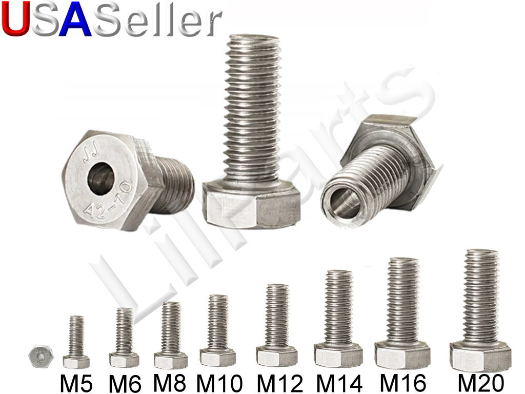 M5 M6 M8 M10-M20 Stainless Steel Hex Head Socket Vented Hollow Cap Screw Bolts