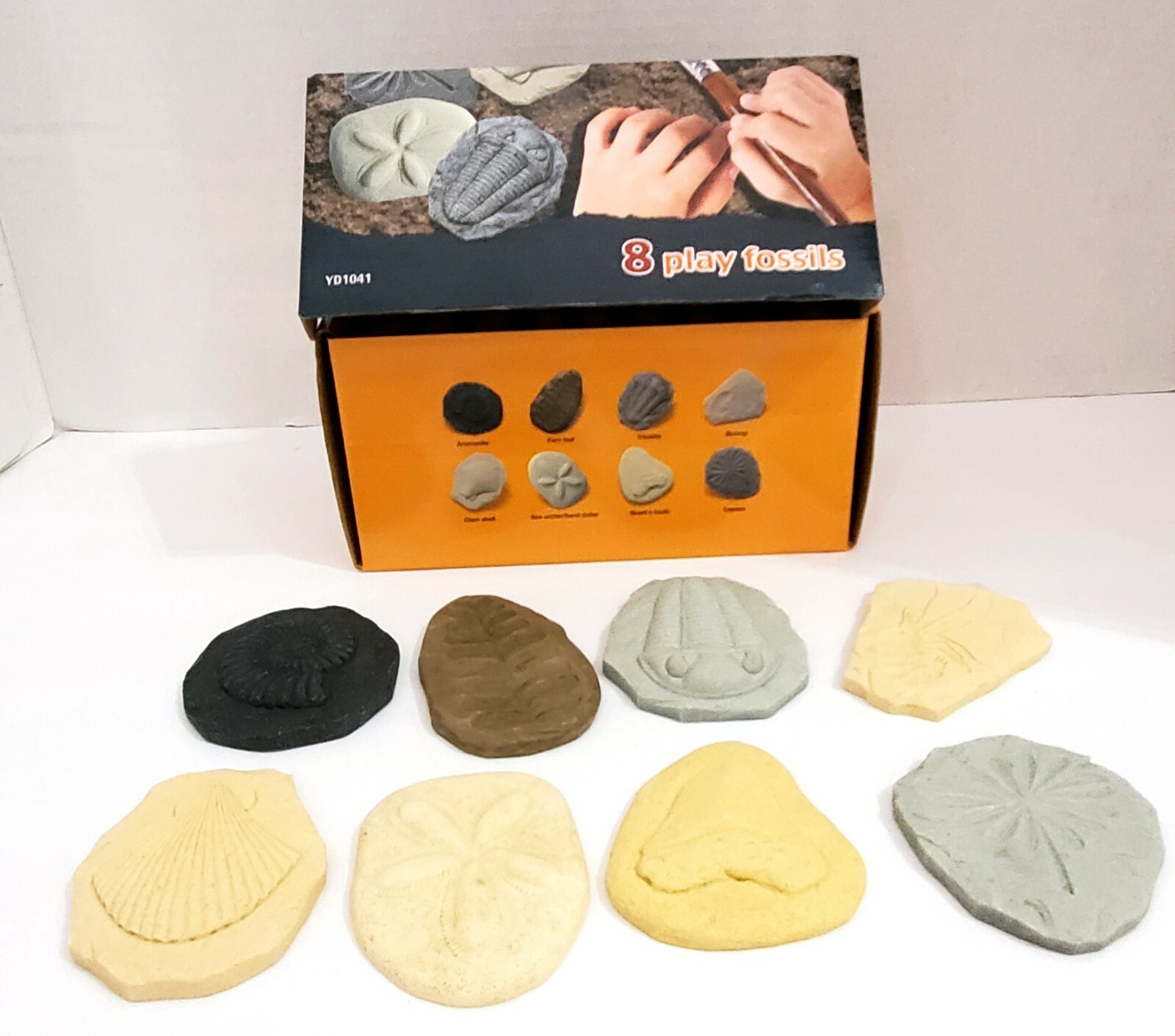 LET'S INVESTIGATE FOSSILS activity kit learn teach classroom home school UNUSED
