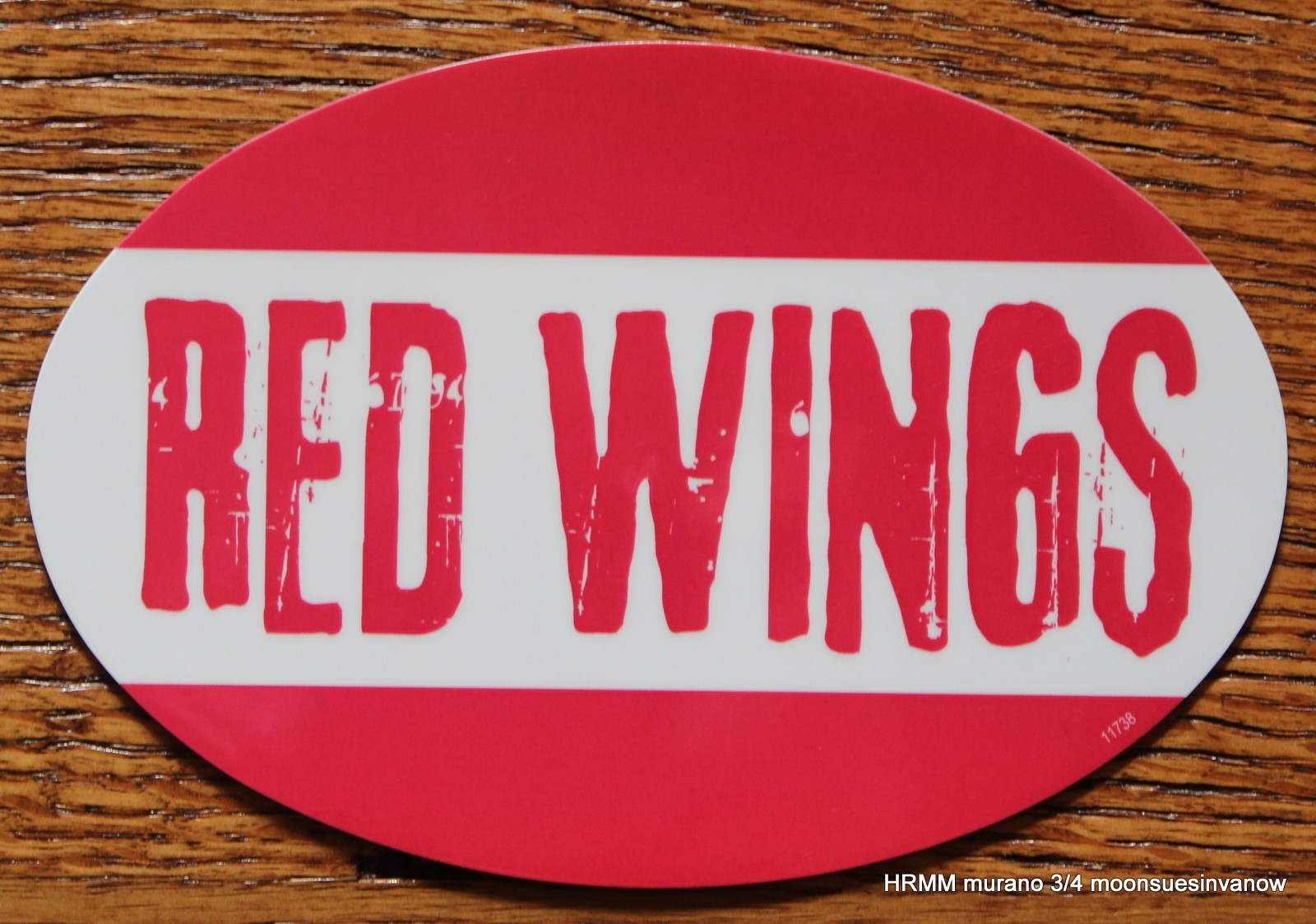 Detroit Red Wings Oval Car Magnet Made In The USA Hockey NHL Sports Waterproof