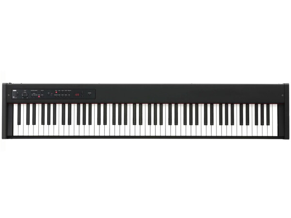 KORG D-1 DIGITAL PIANO 88 Weighted Keys PROFESSIONAL, NEW BOXED.