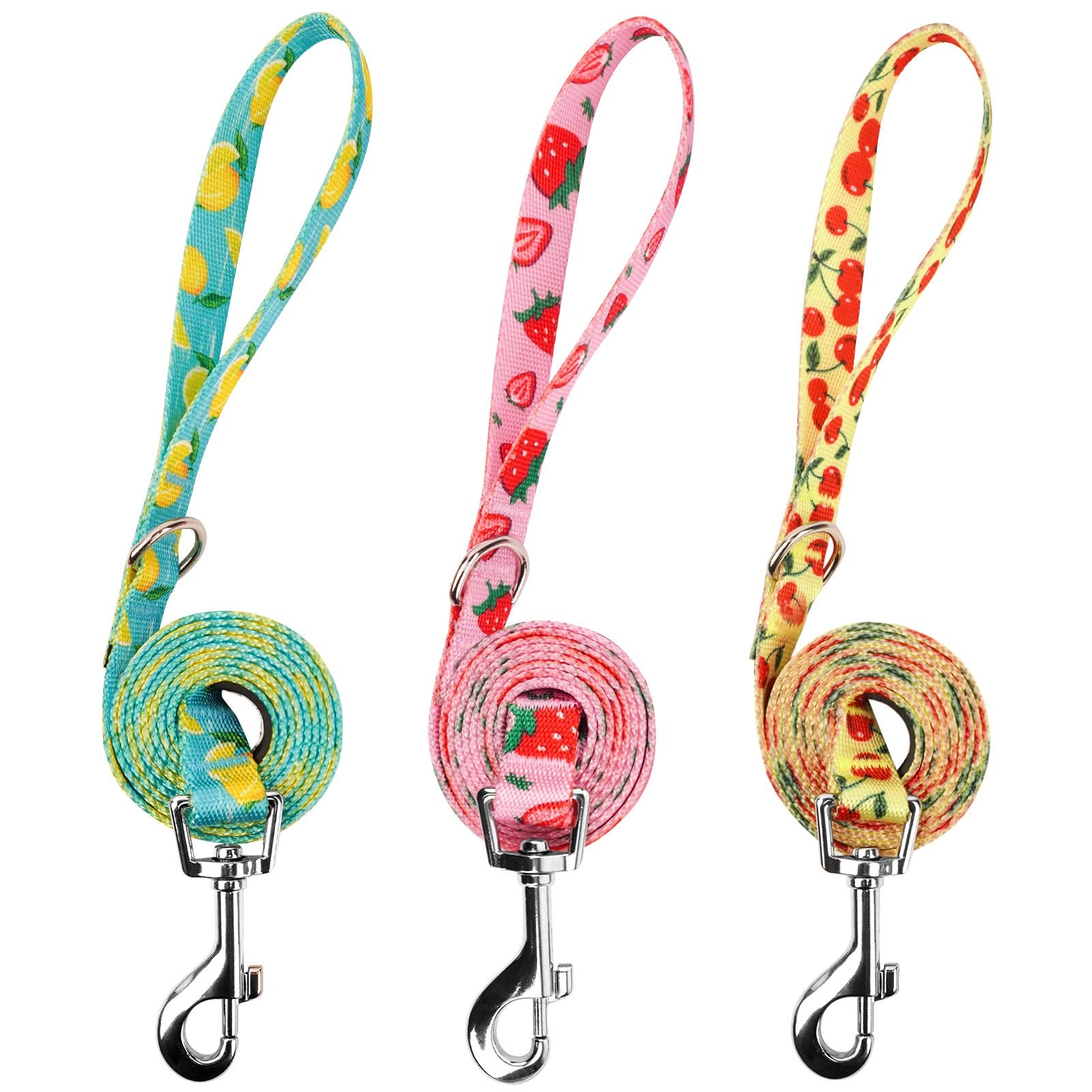 3 Pack Fruit Design Nylon Dog Leashes 4FT 1 Inch Wide for Large Dogs