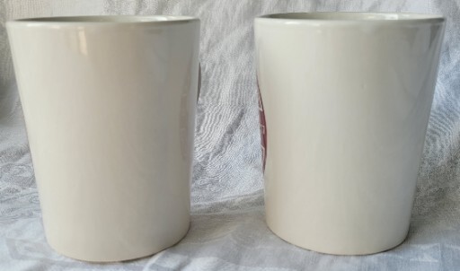 (1) Delaware Young Republicans Coffee Mug