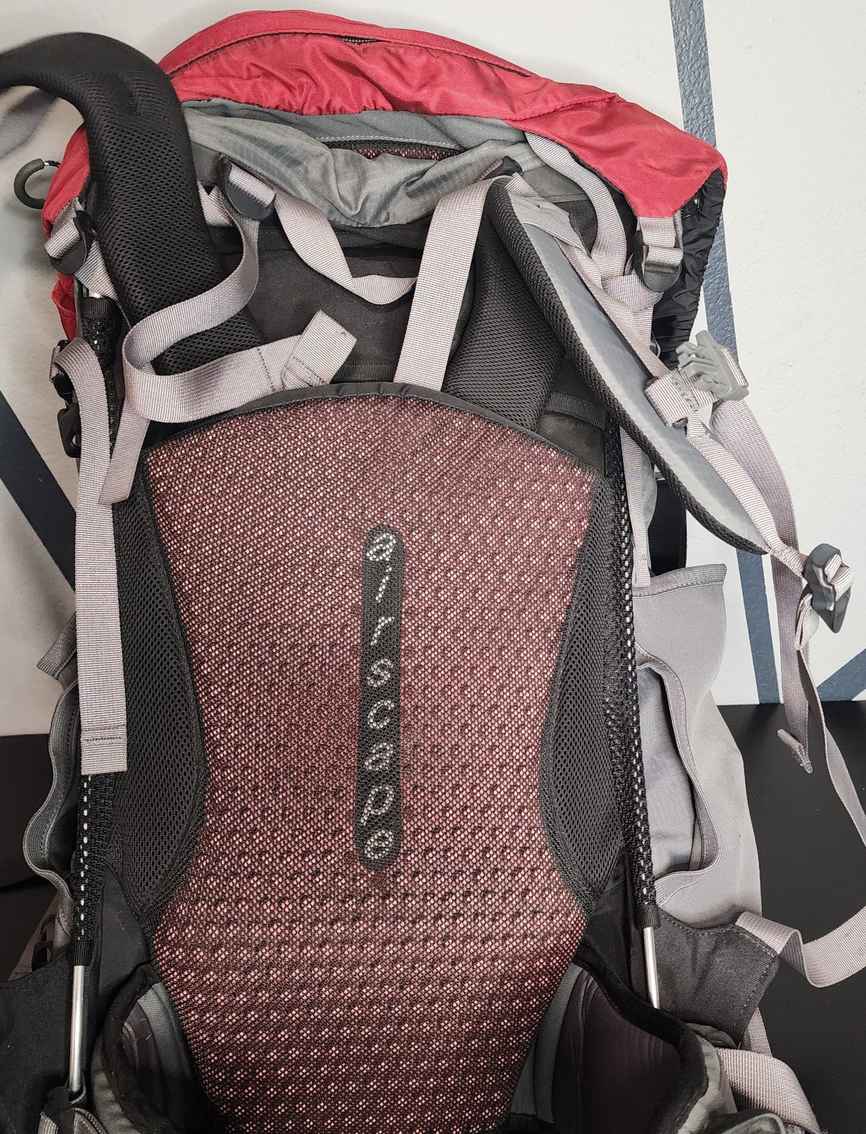 Osprey Ariel 65 Backpacking Backpack Red size WS