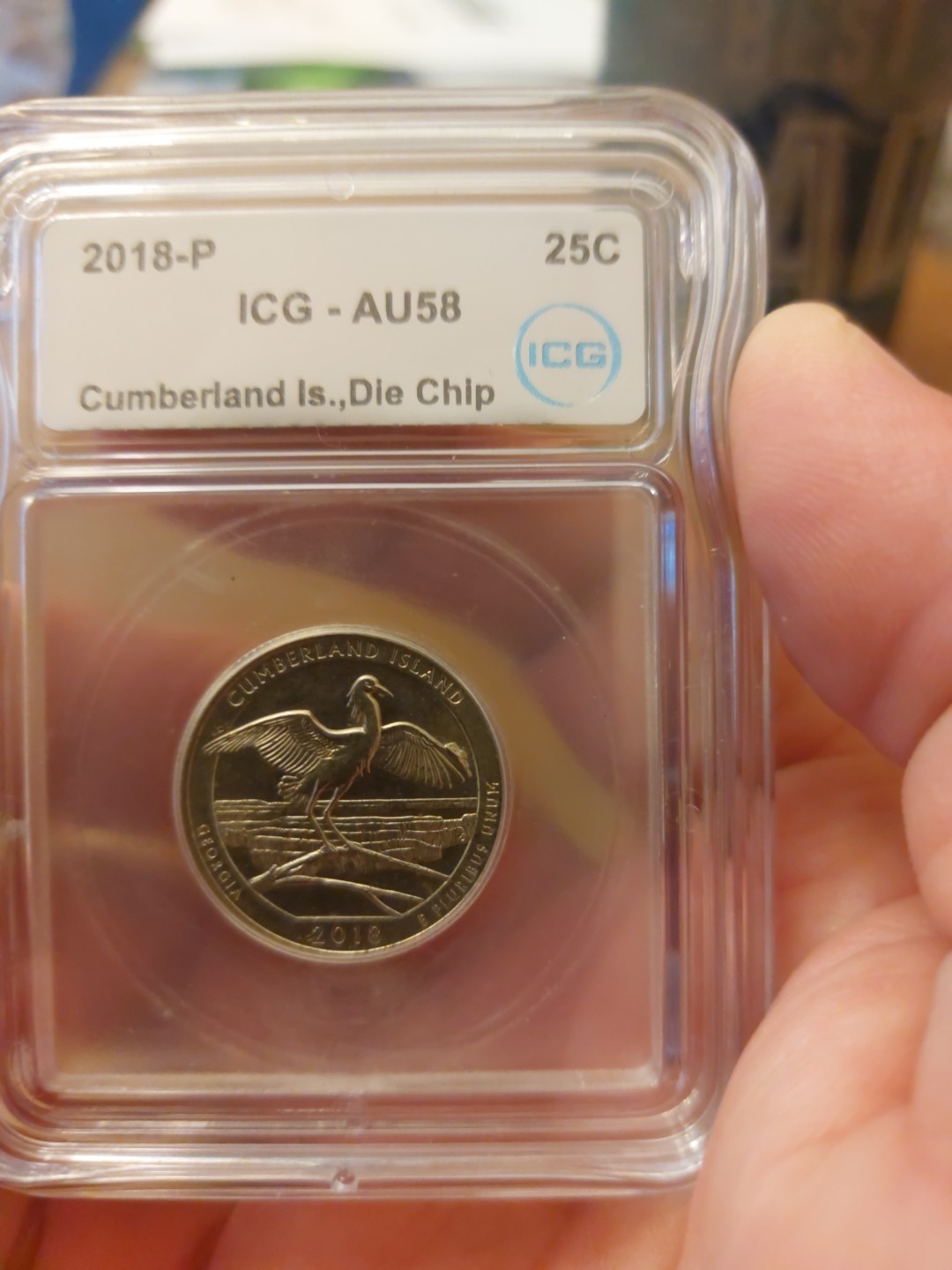 Cumberland Island Error Coin. Large Die Chip On Wing.
