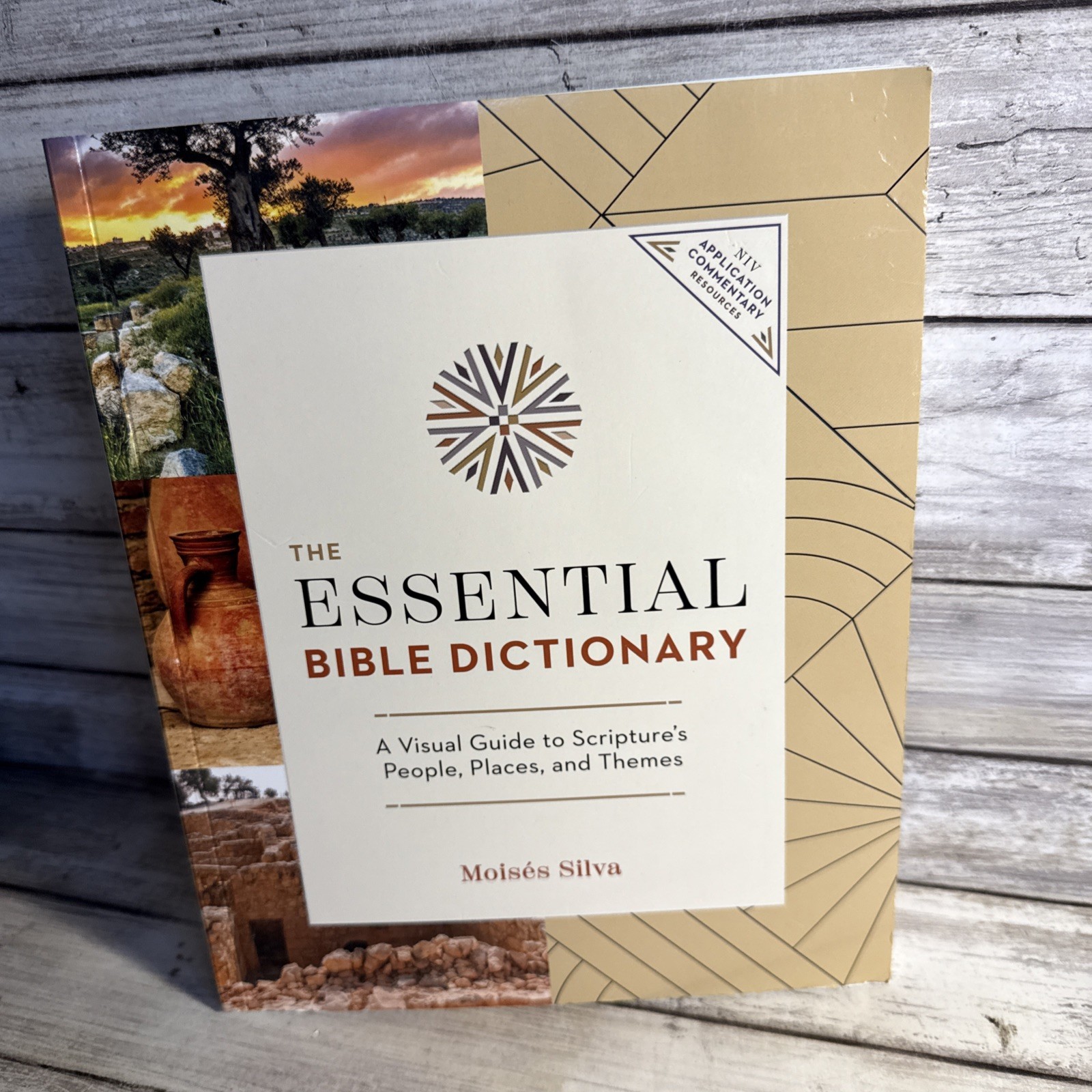 The Essential Bible Dictionary Visual Guide To Scripture’s People Places Themes