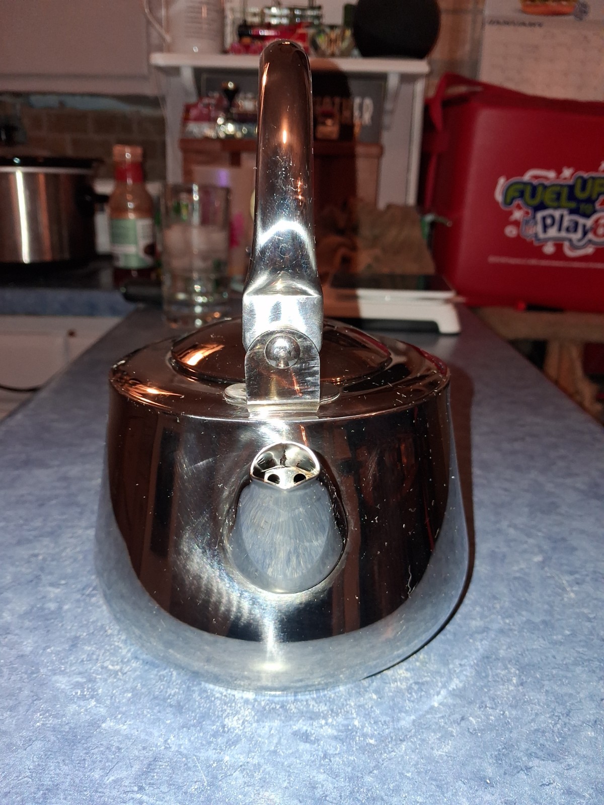 Well Equipped Kitchen 18/10 Stainless Steel Small Tea Pot Great Condition!