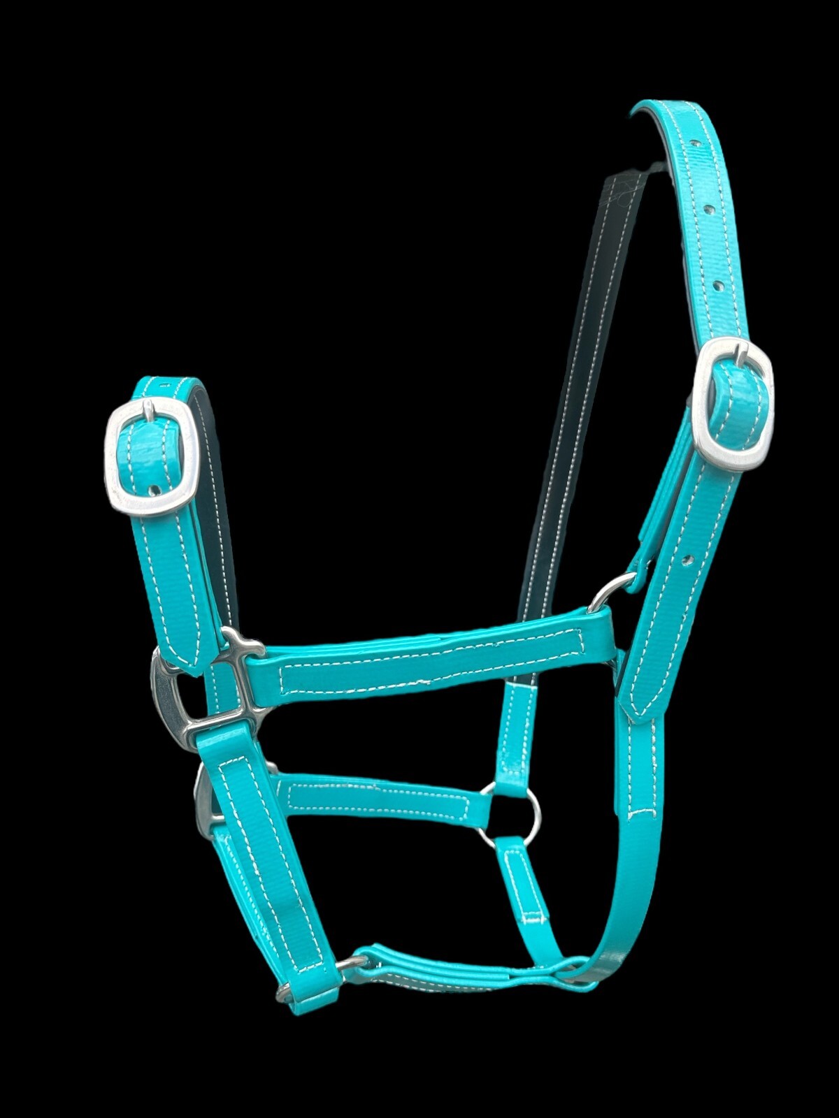 Auscoat PVC Headstall - Stainless Steel - Warmblood, Draught - 16 Colours