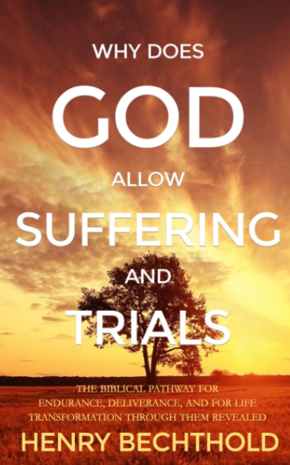 Why Does God Allow Suffering and Trials: The Biblical Pathway for Endurance, Del
