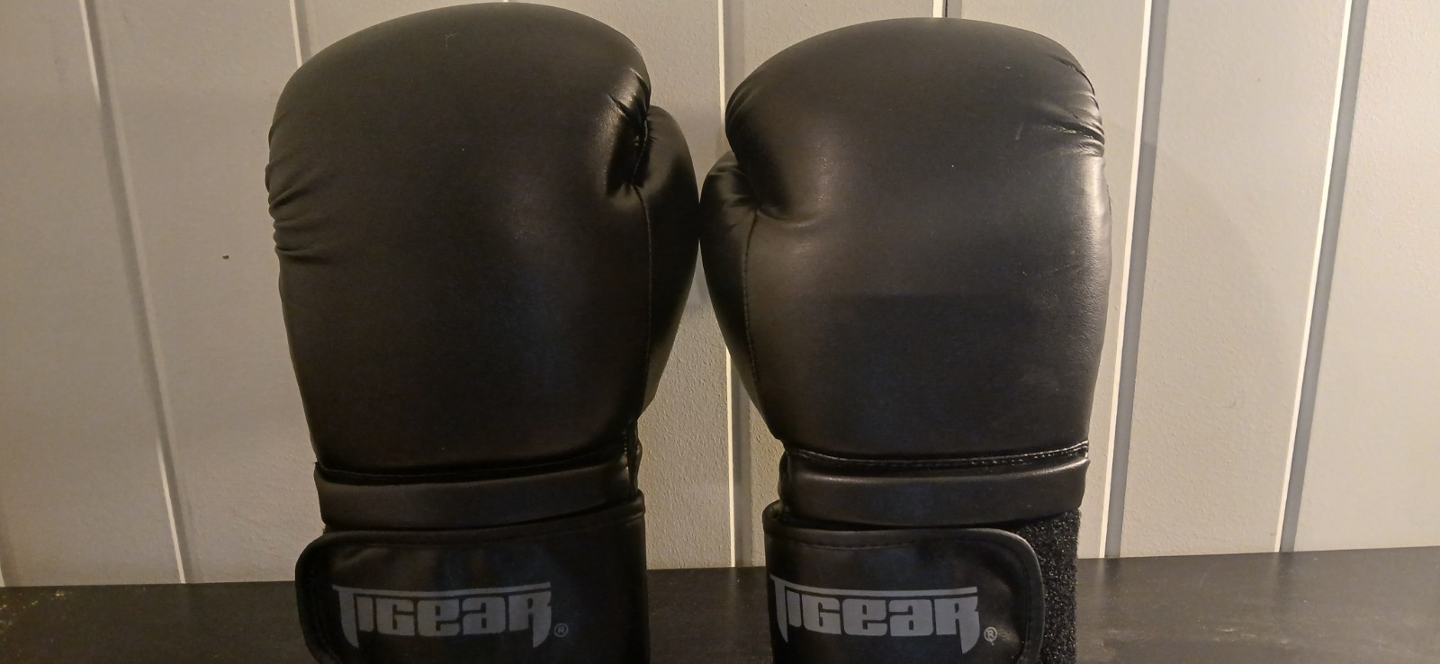 Boxing Gloves 12 oz