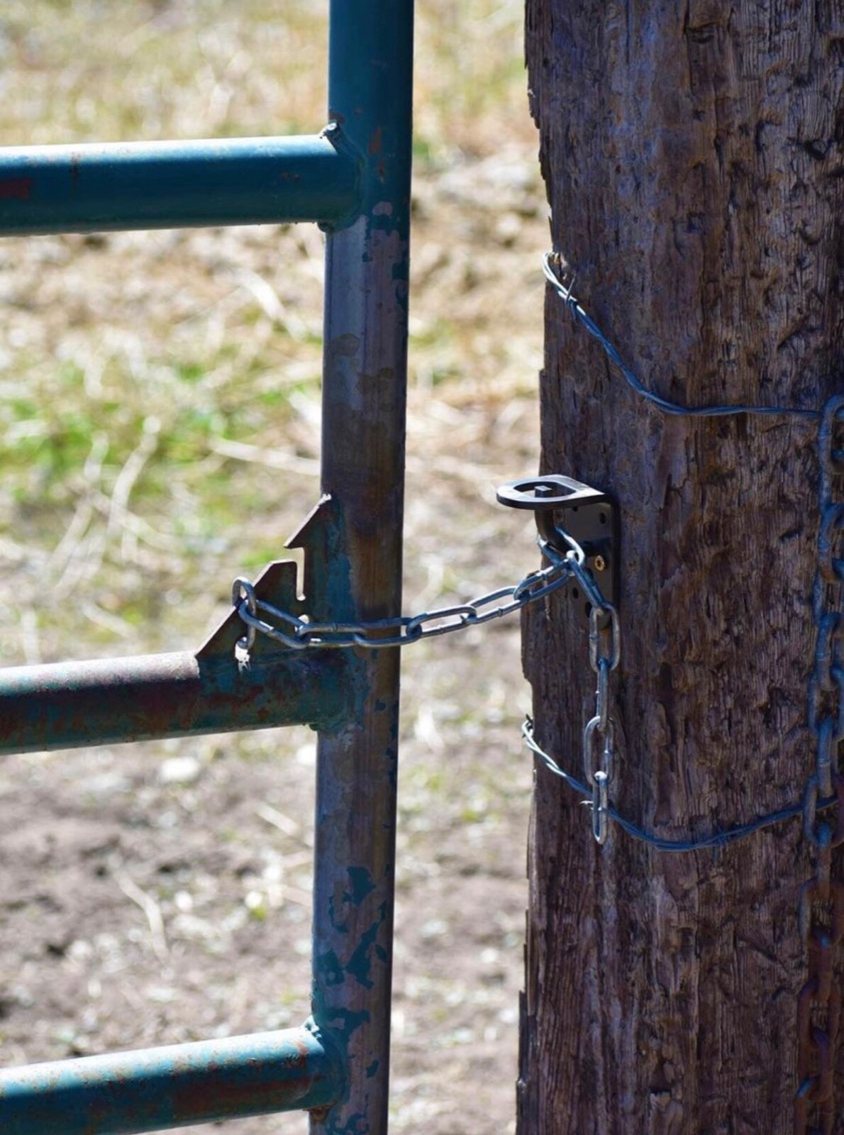 Quick & Secure Gate Chain Attachment Gray