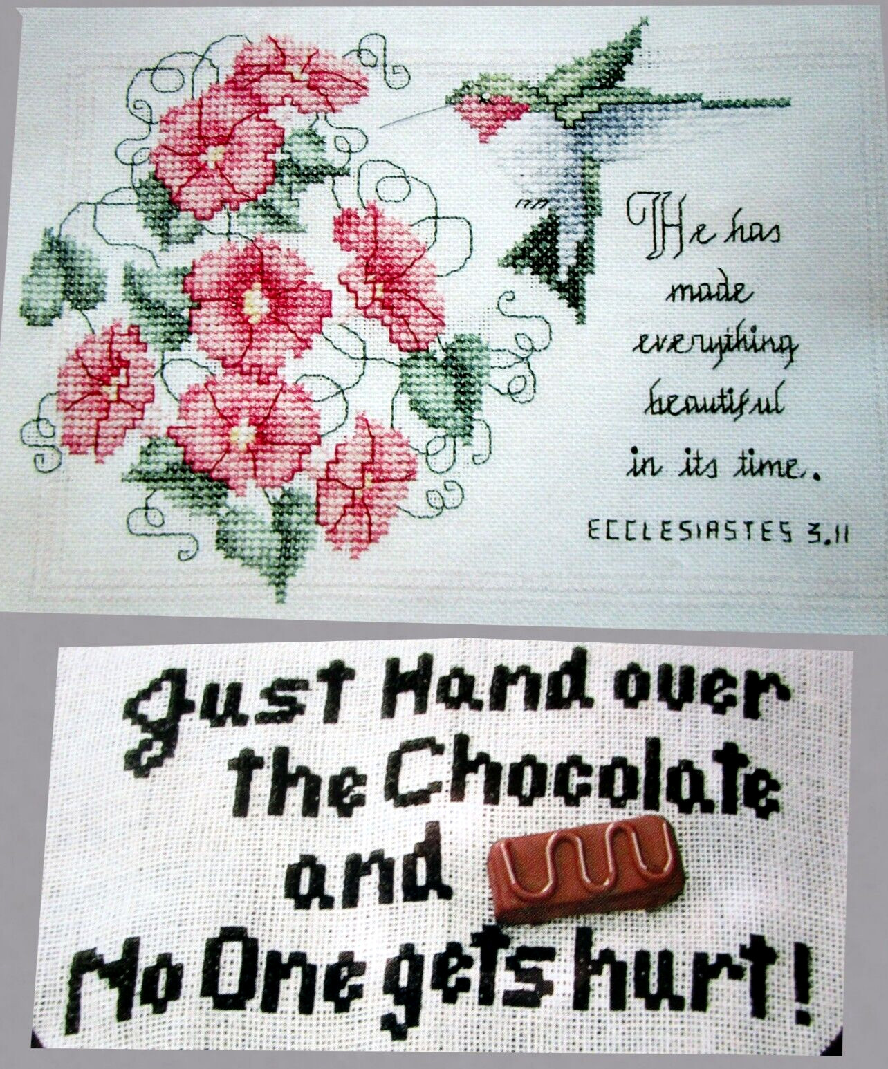 Beautiful Hummingbird Hand Over Chocolate No 1 Gets Hurt CROSS STITCH PATTERNS