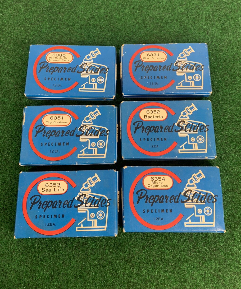 Vintage Prepared Slides-6330,6331,6351,6352,6353 & 6354-Total Of 6