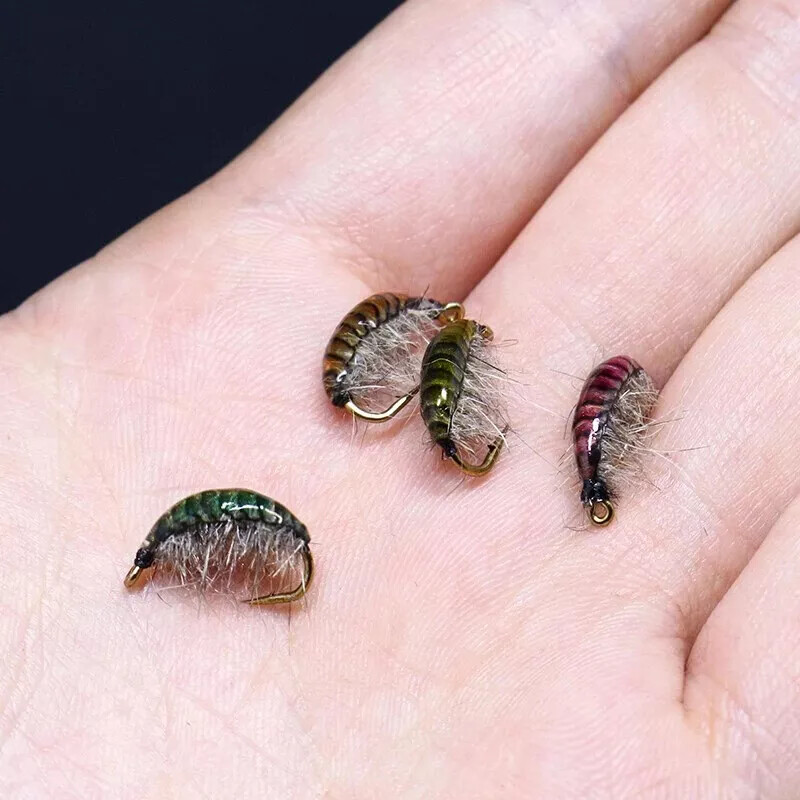 160pcs Fly Tying Scud Gammarus Backs Set 4 Sizes Assorted Realistic Shrimp Backs