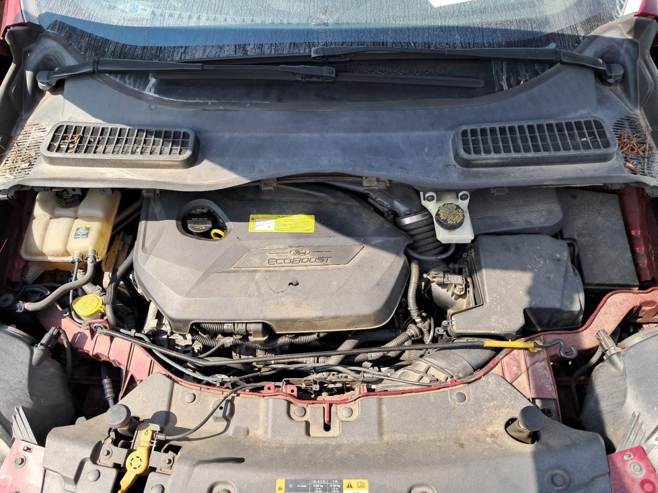 ESCAPE 2013 Glove Box 4778938