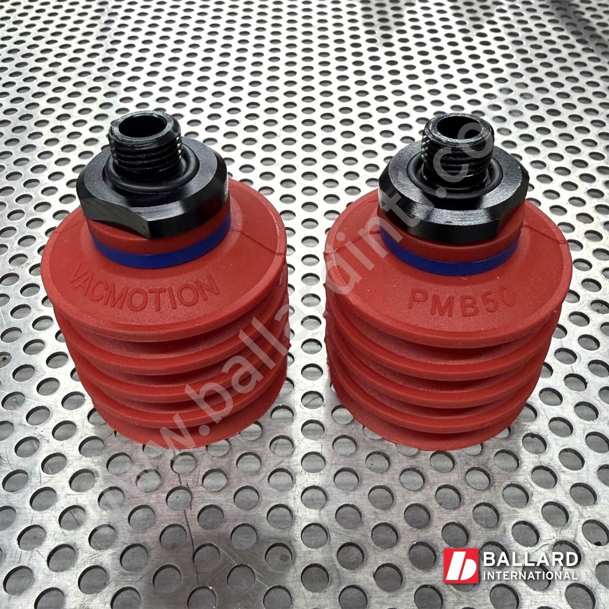 VacMotion PMB50 4.5 Bellows 55mm G1/4 Male Fitting Suction Cup  - Set of 2