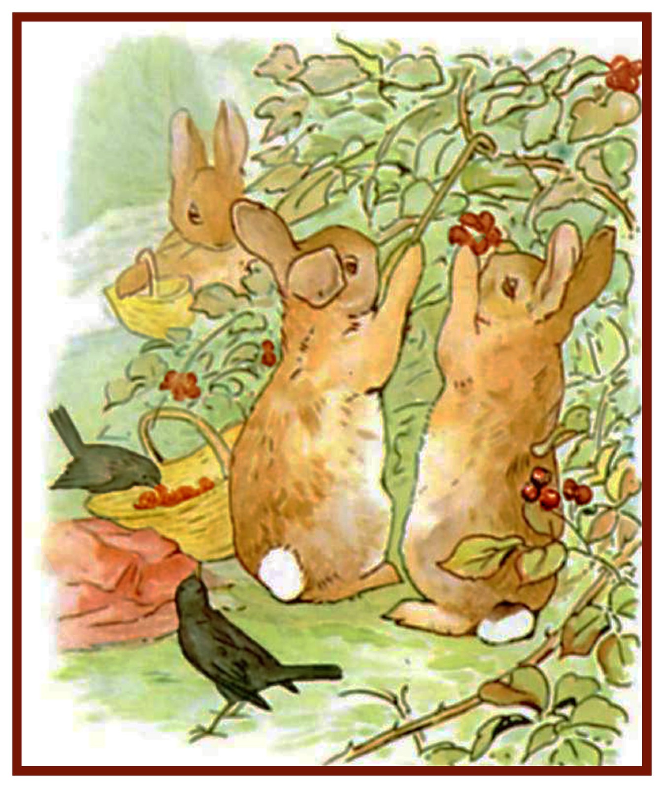 Beatrix Potter Peter Rabbit Picks Berries Counted Cross Stitch Chart Pattern