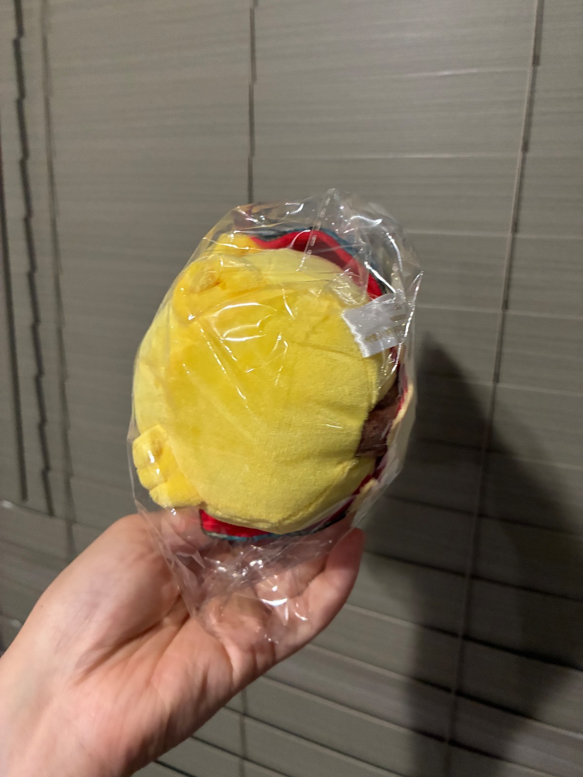 Mega Lucario Pikachu Plush Poncho Pokemon 20CM