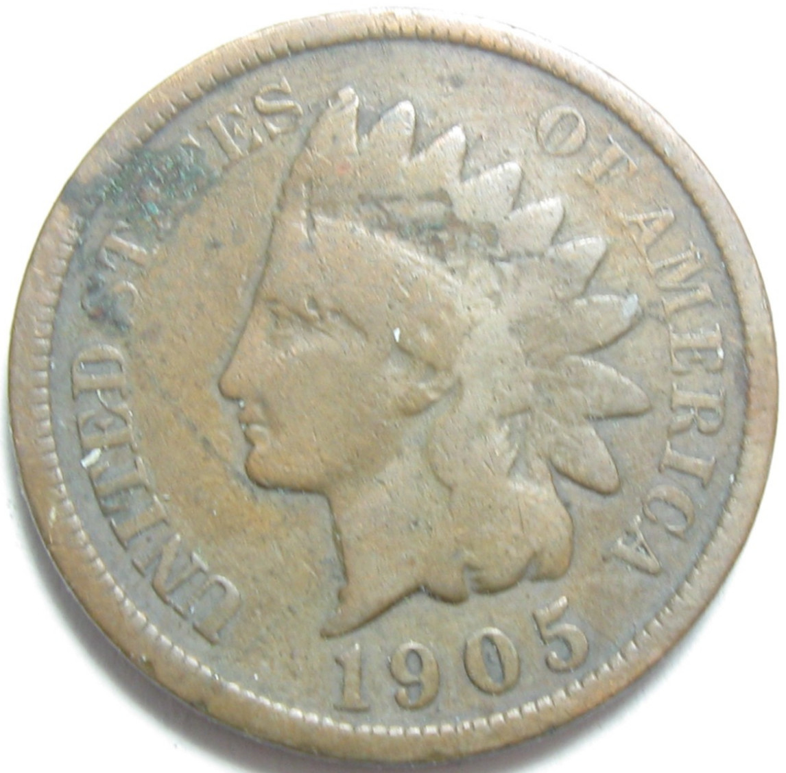 1905 Indian Head Cent - #11412-32