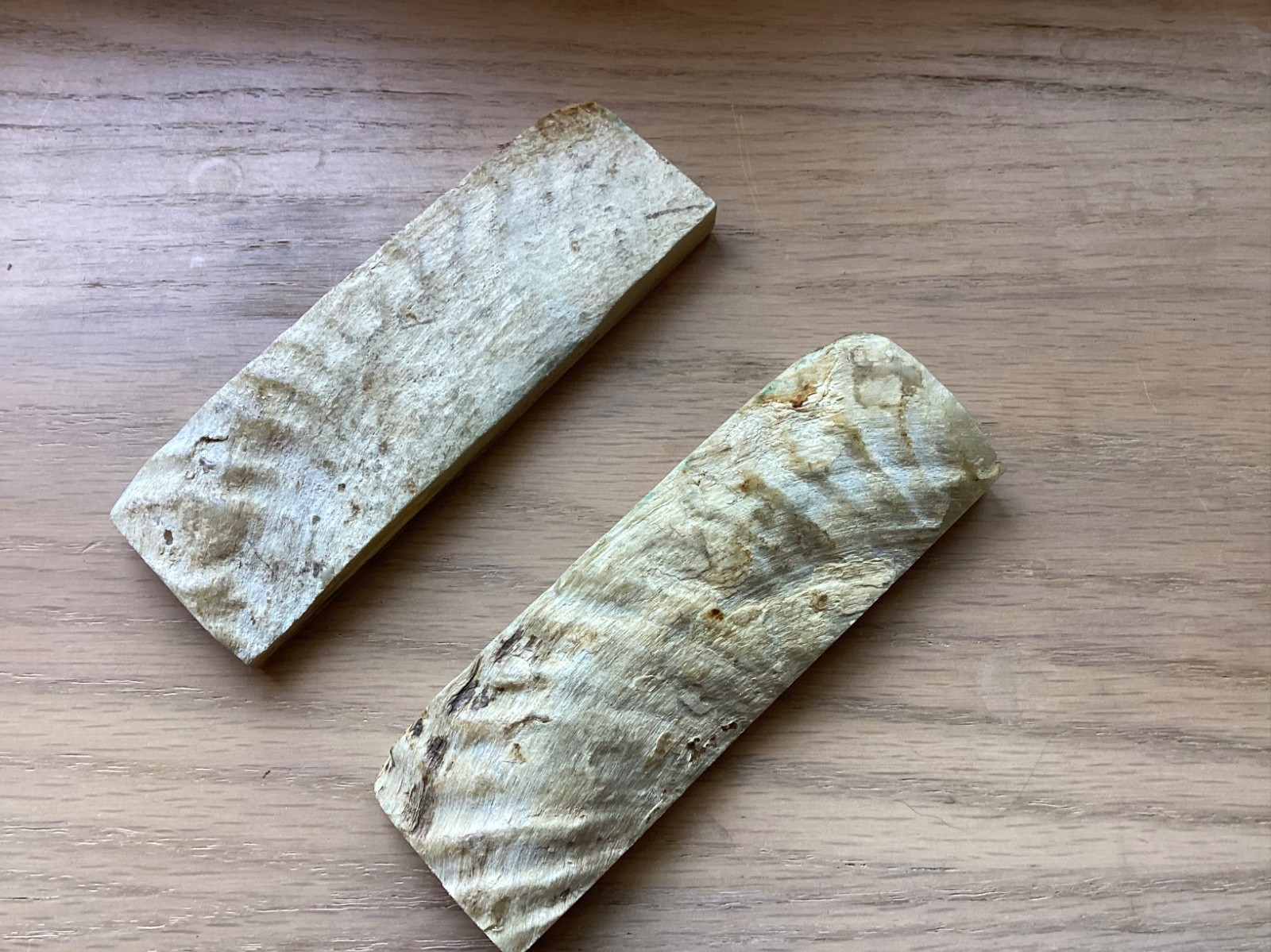 Sheep Horn slabs for knife making