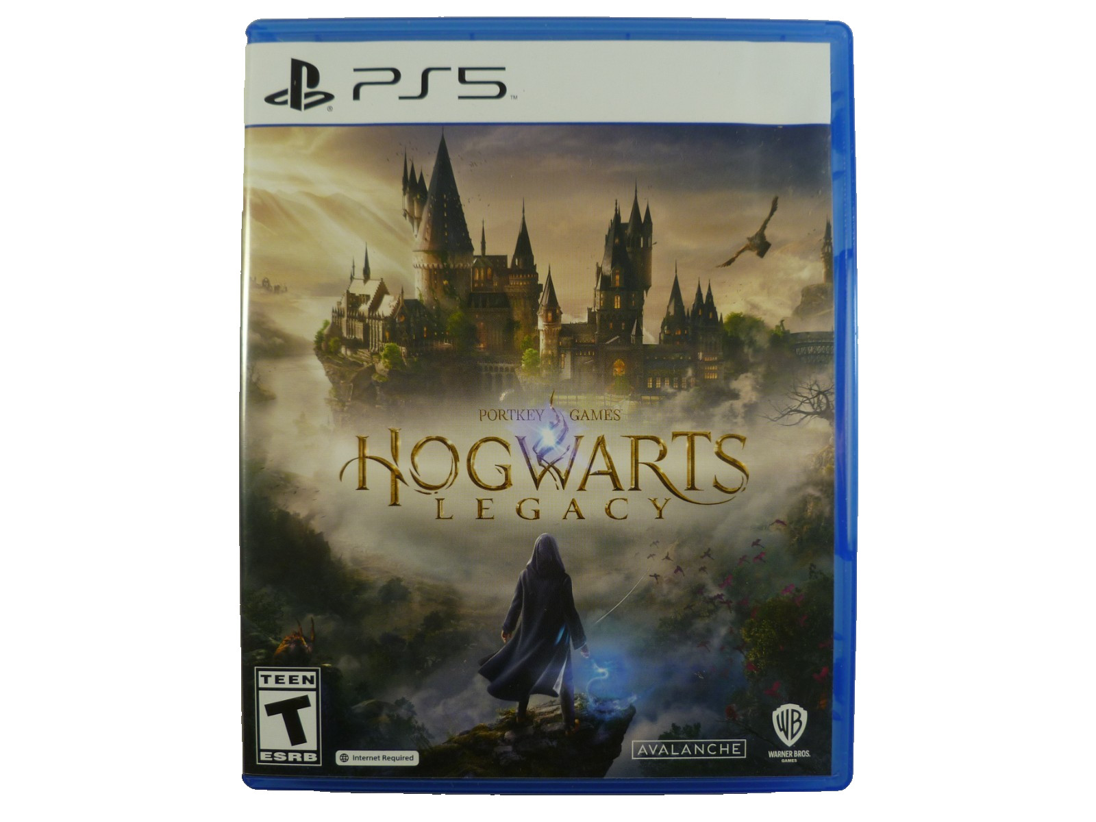 Case Only! Hogwarts Legacy PlayStation 5 PS5 + DLC Onyx Hippogriff Mount Genuine
