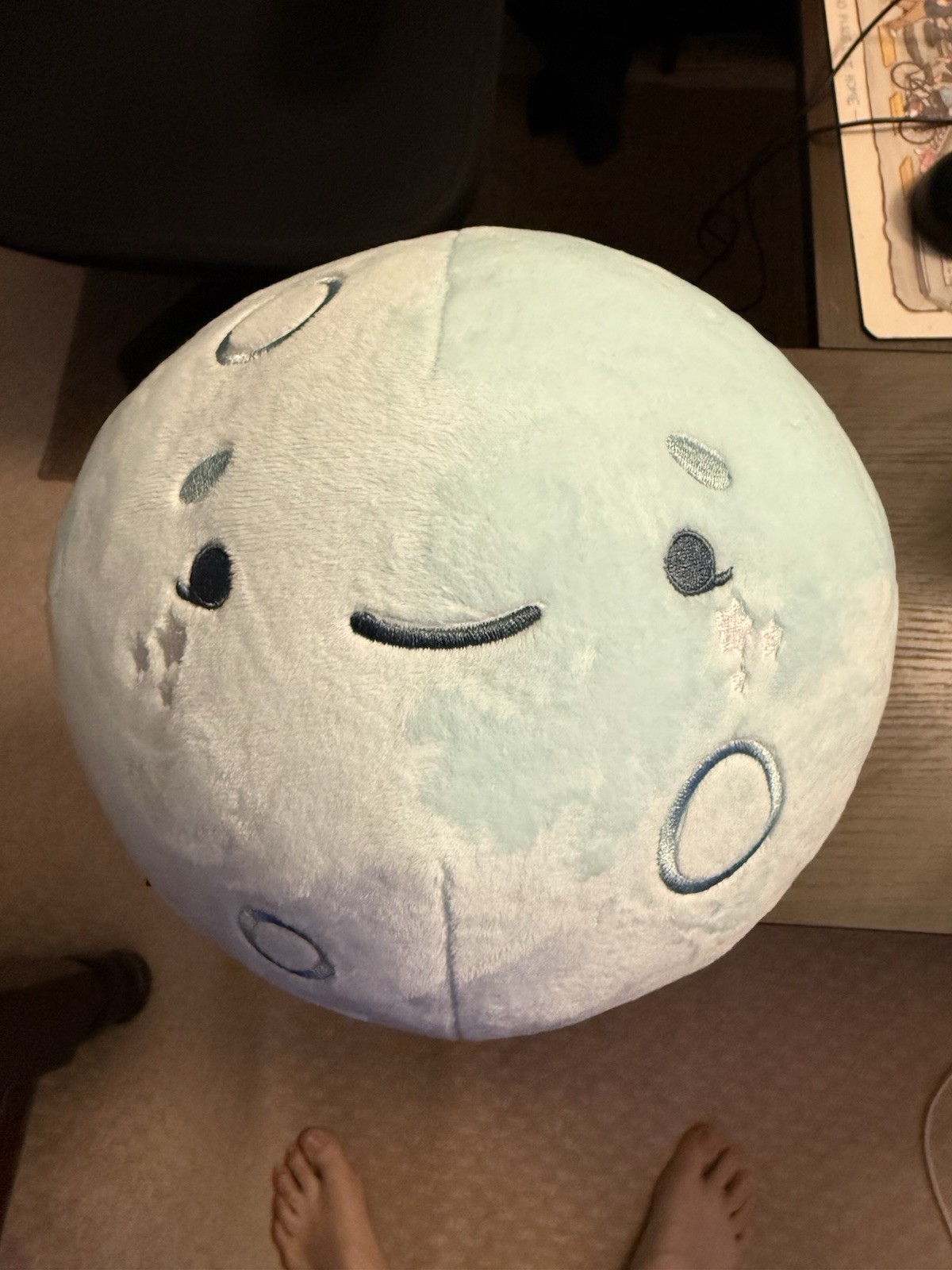 NASA RISE Moon Plush Like The One On Artemis