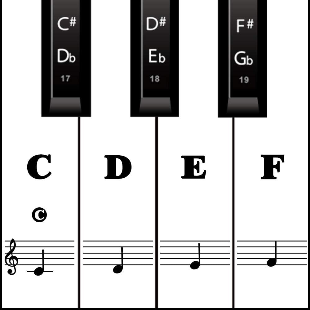 High-Quality Piano Note Stickers for 88 Keys - Perfect Learning Aid for All Ages