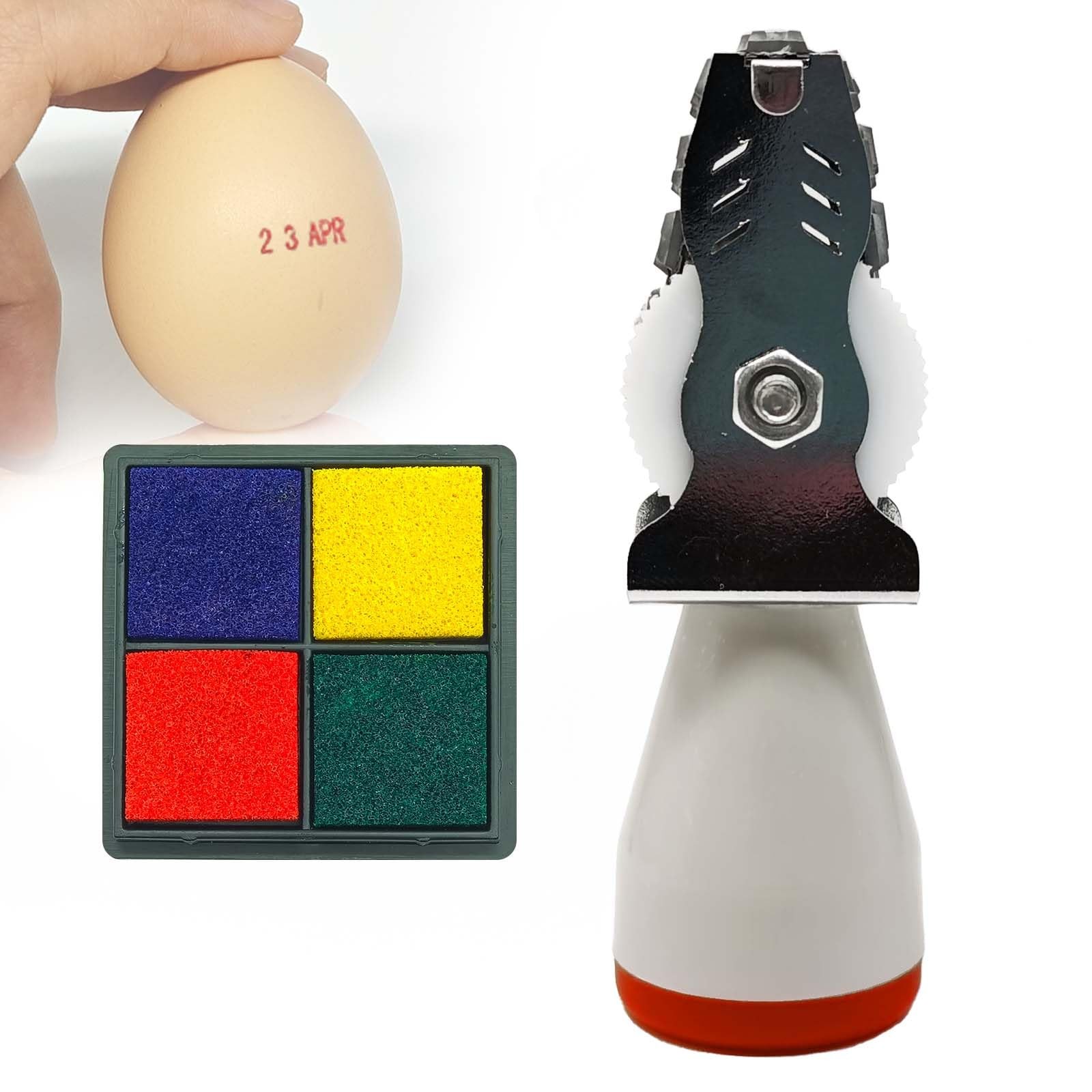 Egg Date Stamps for Fresh Eggs, with a FourColor Ink Pad,Egg Dater Kit, Date ...