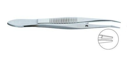 Barraquer Cilia Forceps