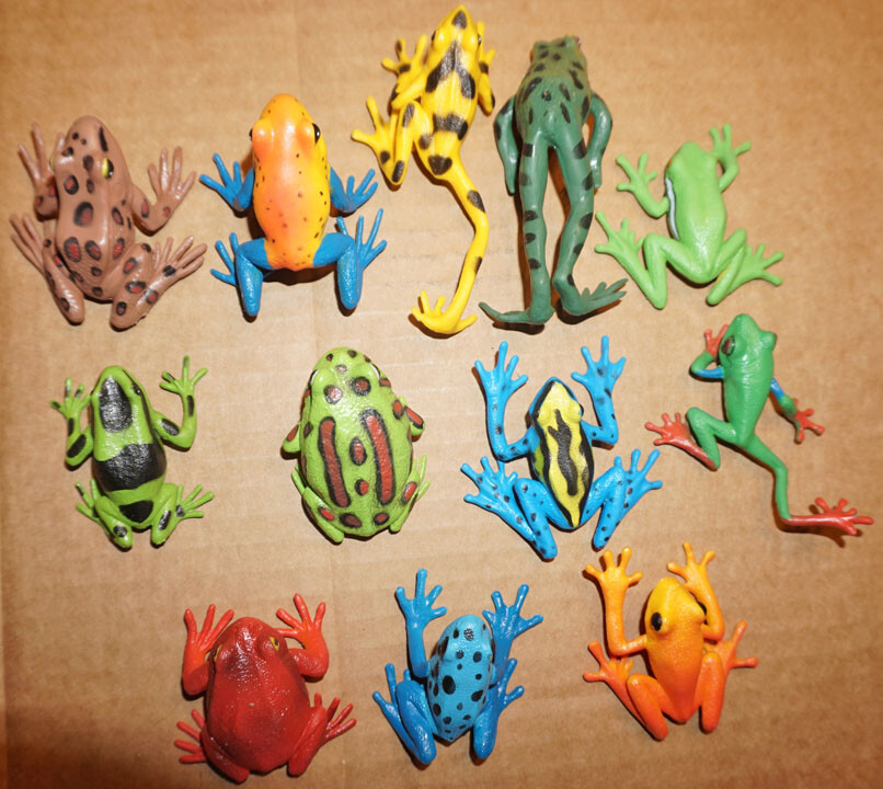Frog Assortment (12) - PVC