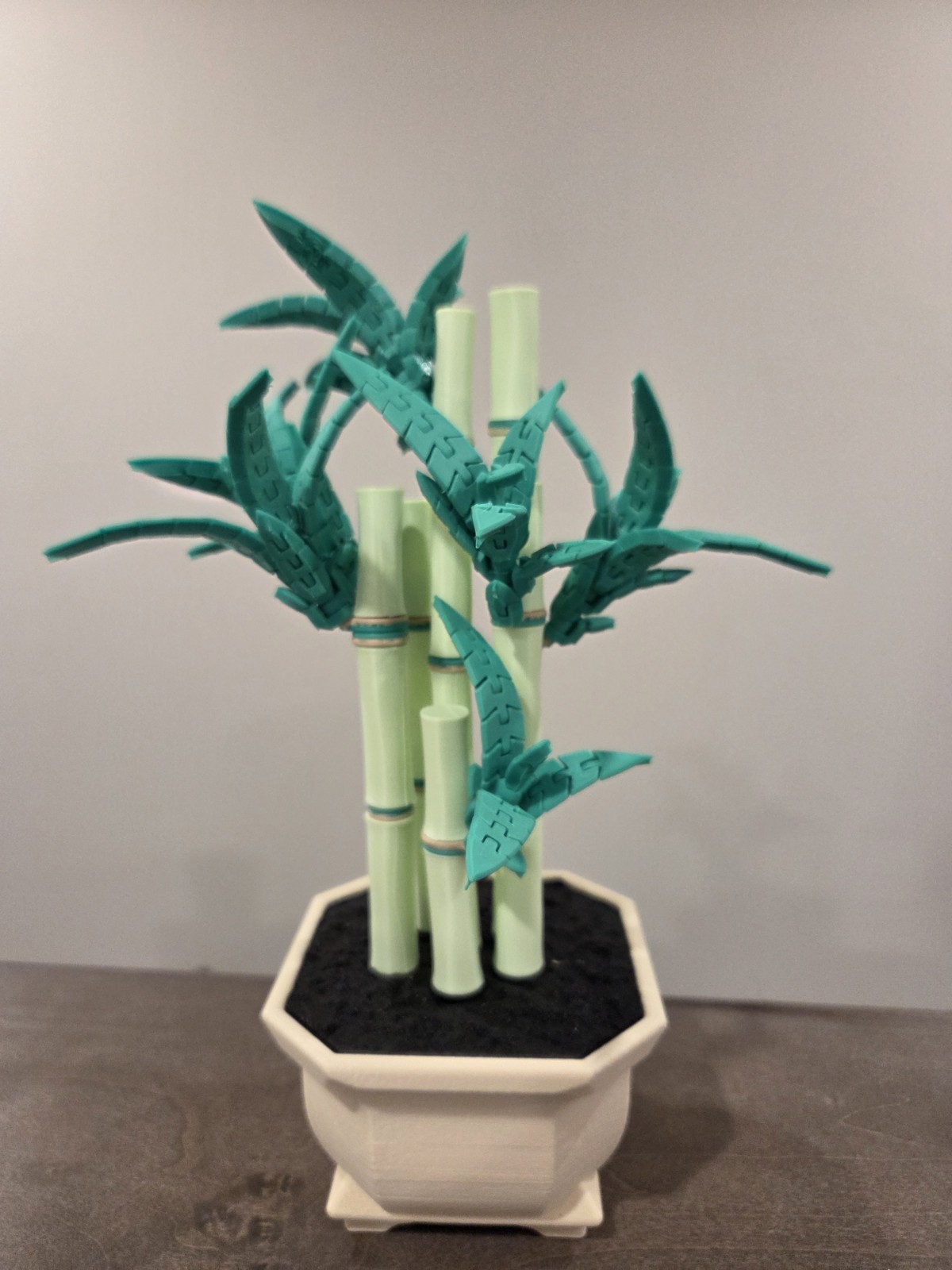 Personalized Lucky Bamboo -FlexiPlants 3D