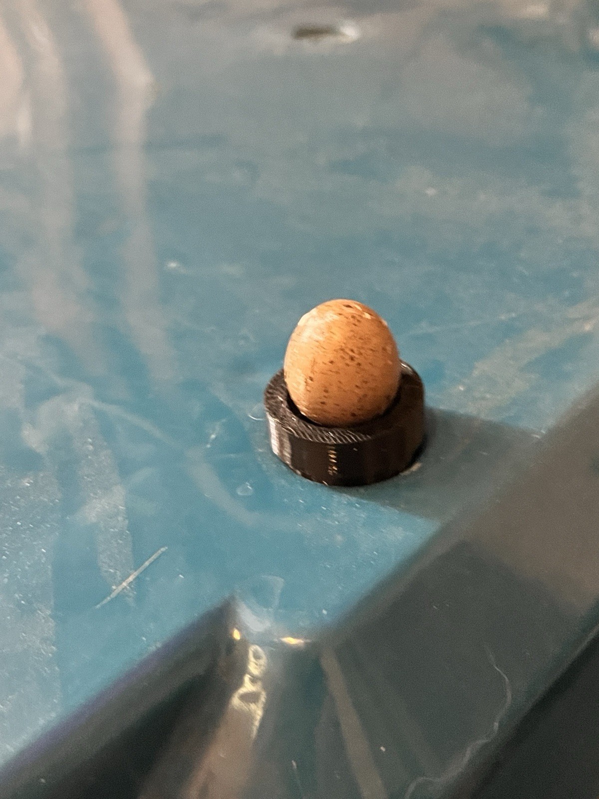 3D Printed Button Quail Egg Adapter For Built-in Brooder Incubator Candler Light