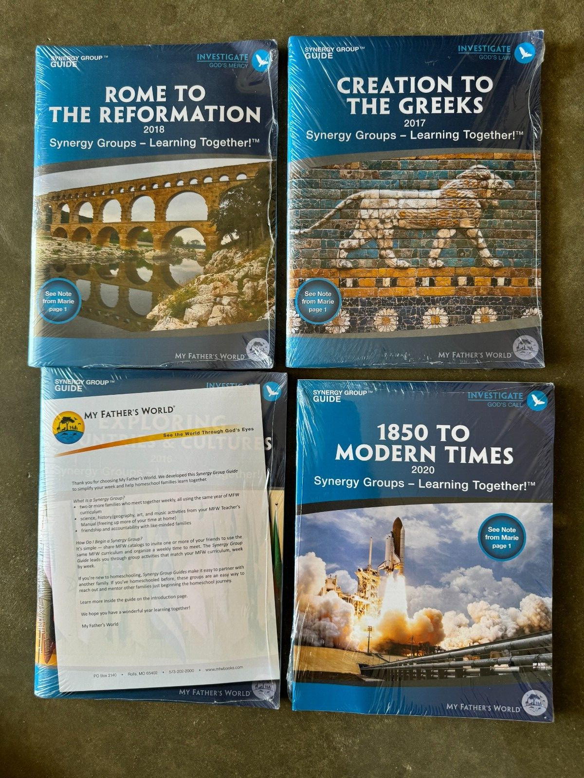 4 lot books My Father's World - Synergy Group Guide modern times Rome Greeks