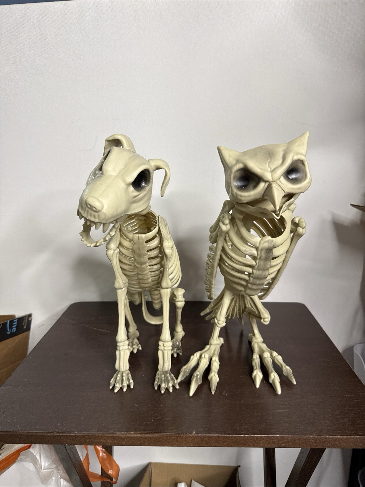 Owl & Dog Skeletons Bones 12" Spooky