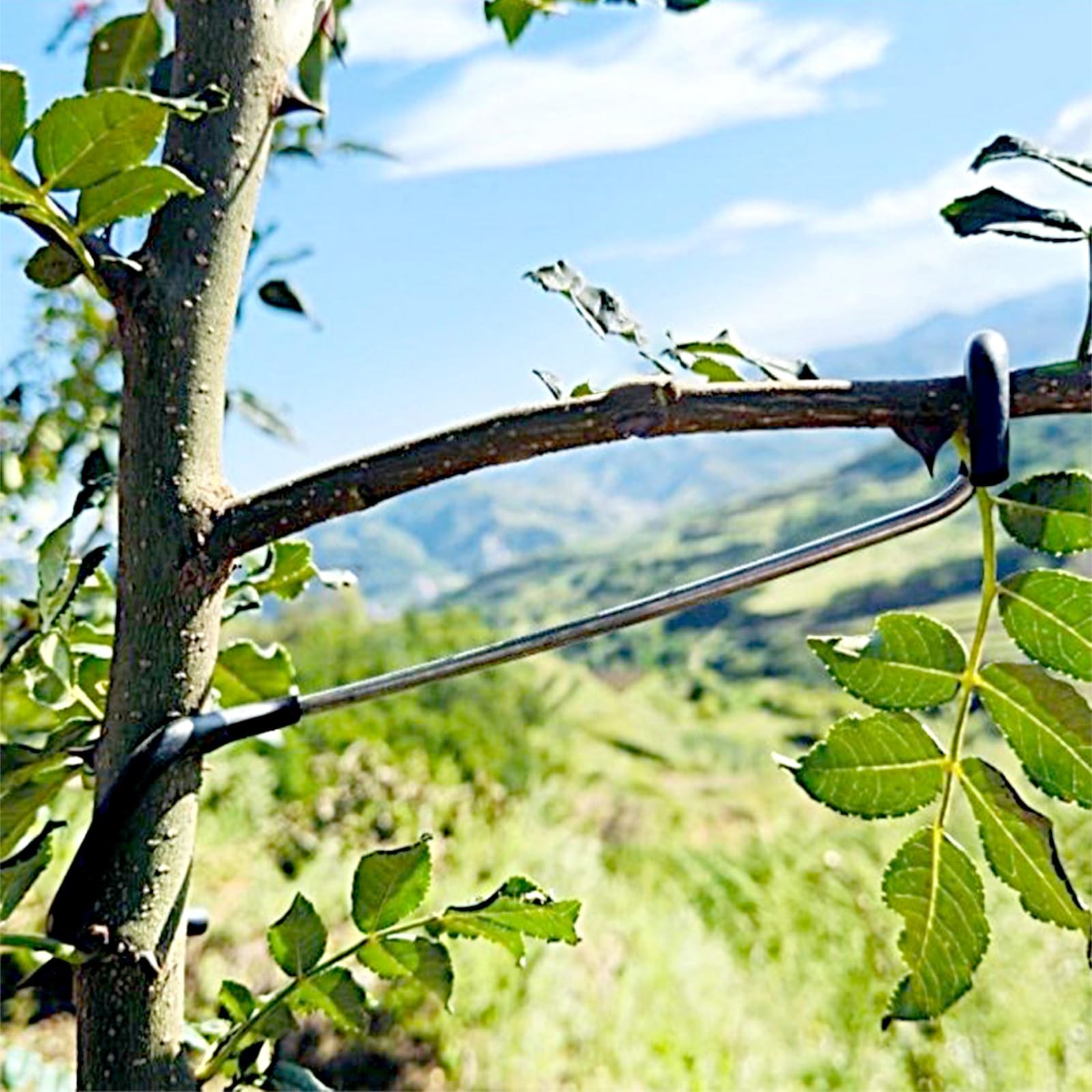20 Pcs Fruit Tree Branch Limb Spreader Support Extension 10 Inch Versatile