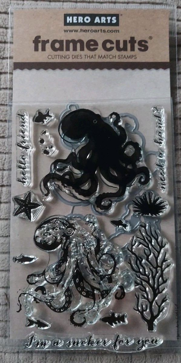 Hero Arts Frame Cuts Stamps And Matching Dies Set