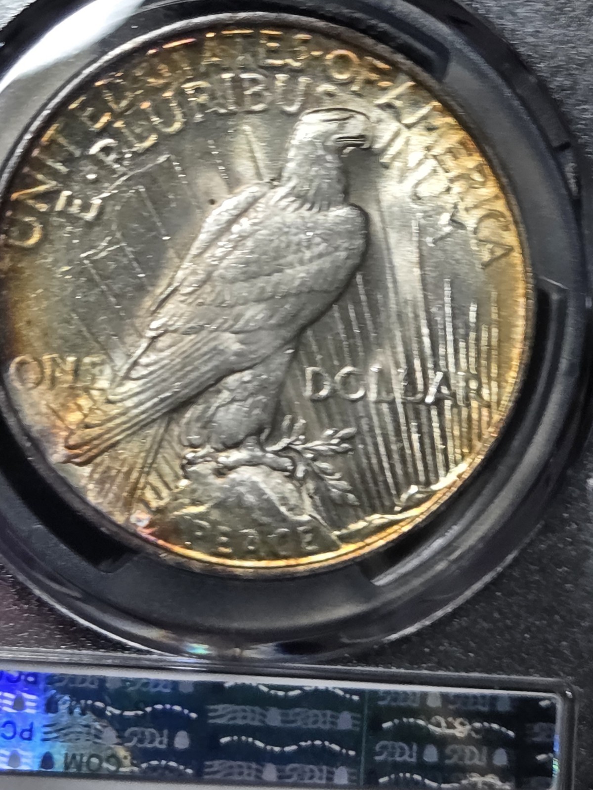 1922 $1 Peace Dollar PCGS MS63 Toned