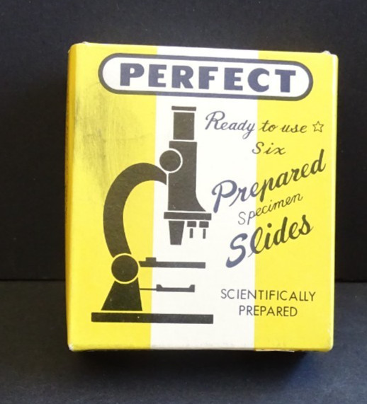 Perfect Prepared Specimen Slides,  6 Slide in Box, 810-0 common vegetables
