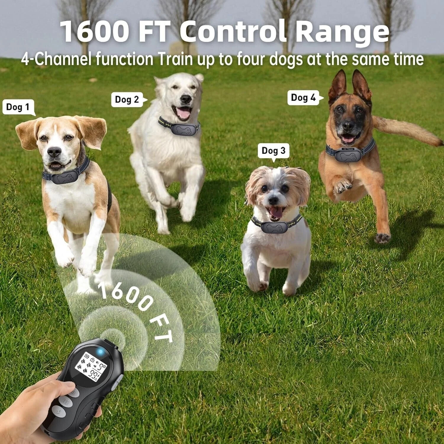 Multi Dog Training System Rechargeable and Waterproof Collar and Remote