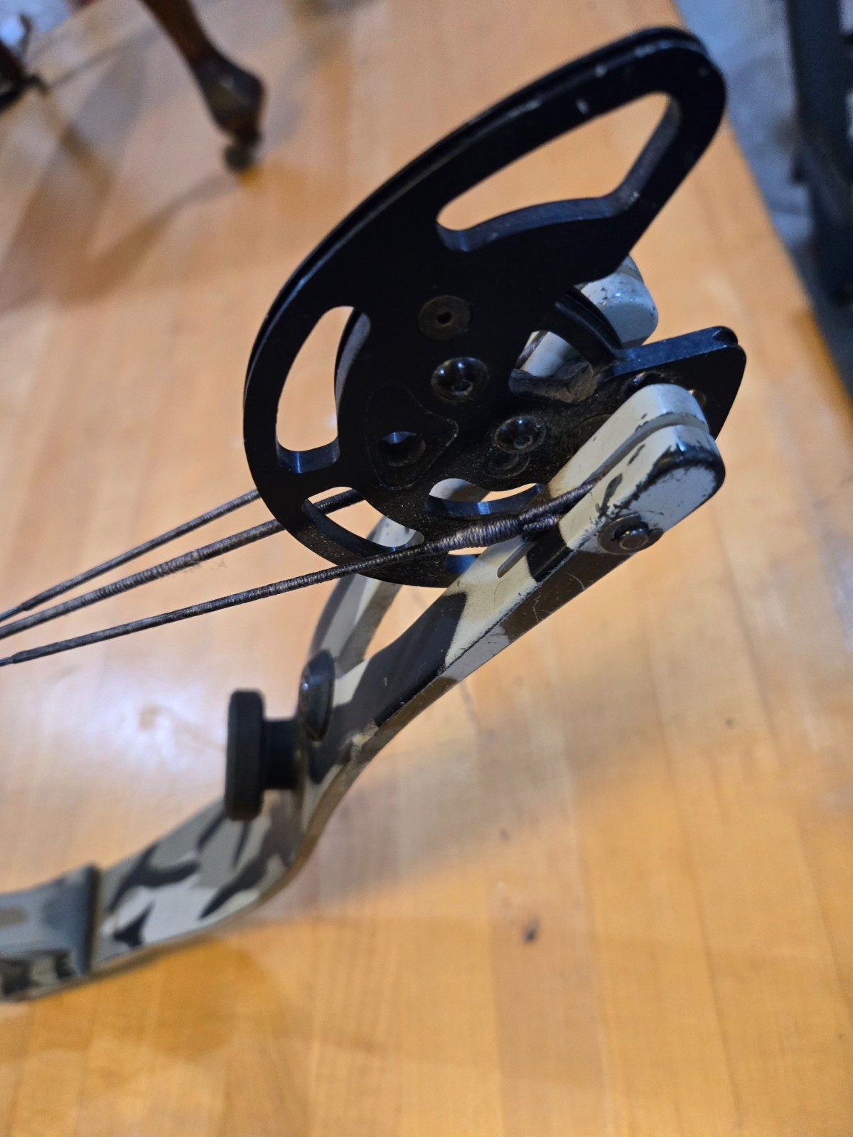 XI legacy Bow
