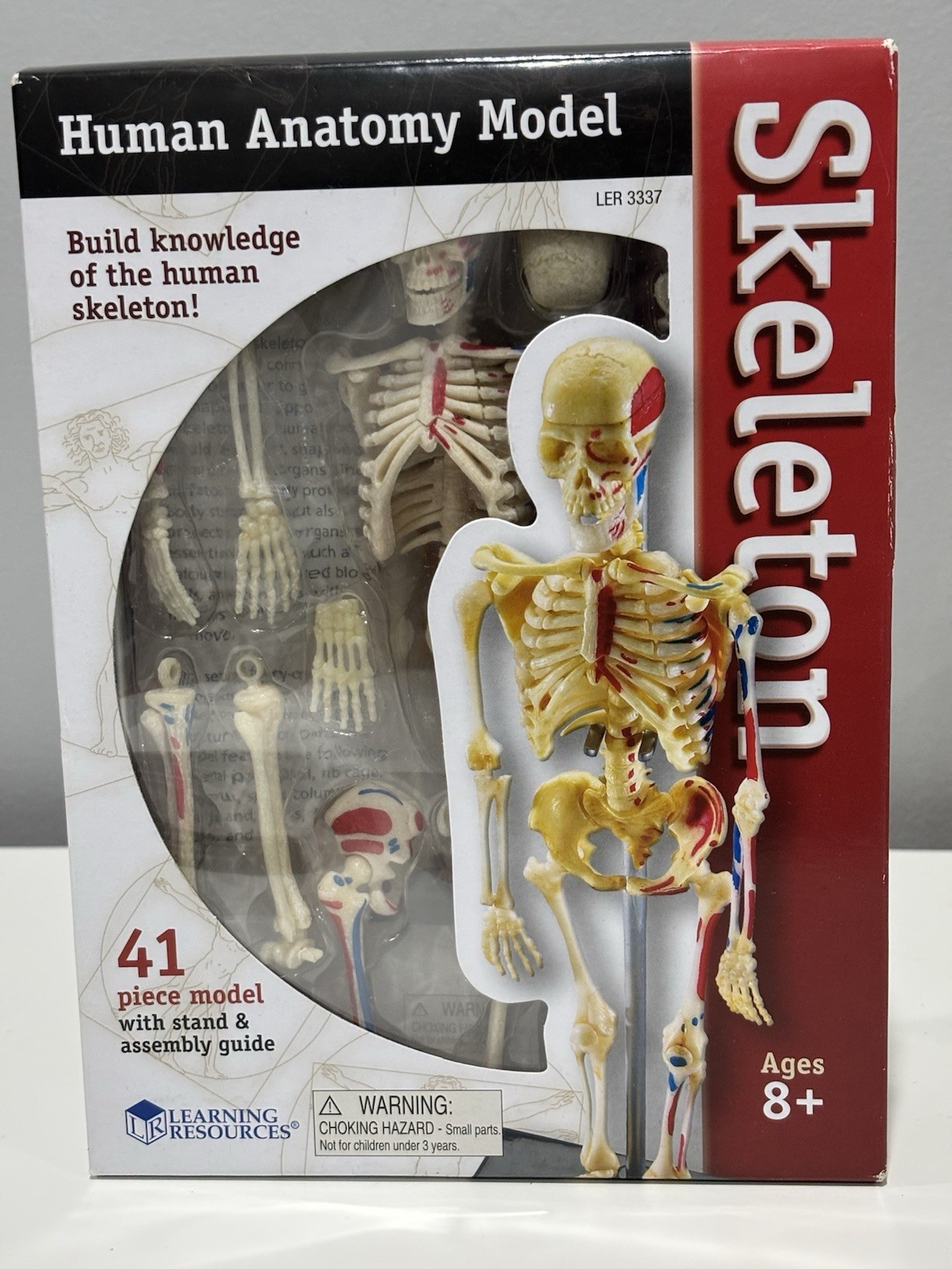 NEW Learning Resources Skeleton Model For Children 41 Pieces
