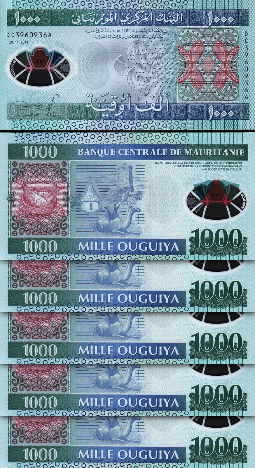 Mauritania 1000 Ouguiya 2014, UNC, 5 Pcs LOT,  Polymer, P-19