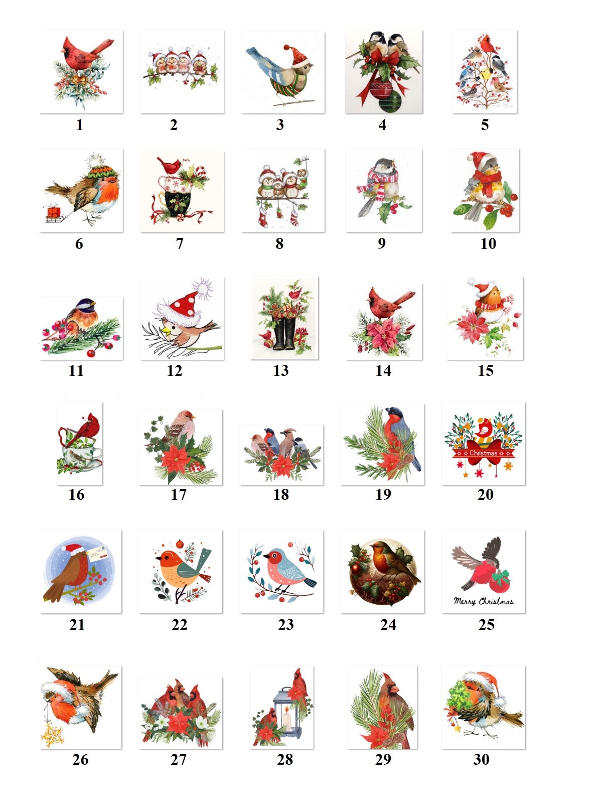 Personalized Address labels Cute Christmas Birds (FA 44)