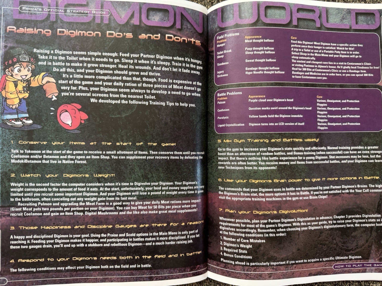 Digimon World Hardcover Strategy Guide Custom