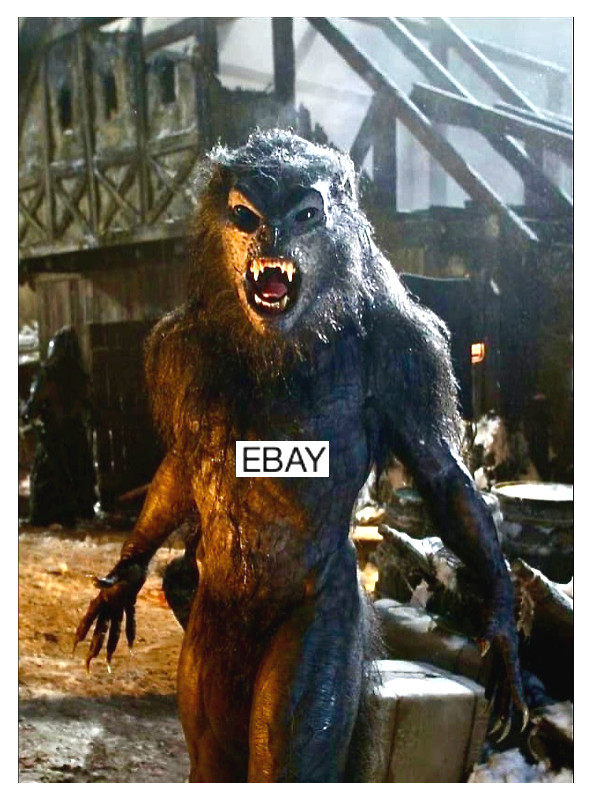 SALE: UNDERWORLD EVOLUTION 2006 HORROR MOVIE PHOTO WEREWOLF WOLFMAN