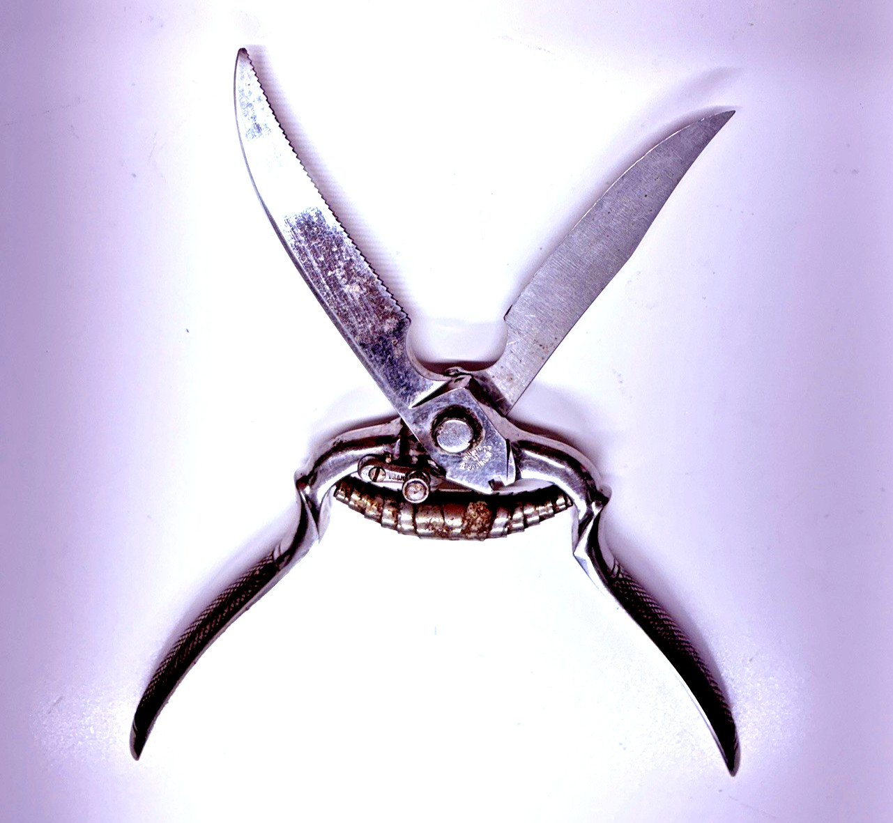 VTG Poultry Shears Stainless Maker Recosa Solingen 9.5"L Sharp-Well Used-Locking